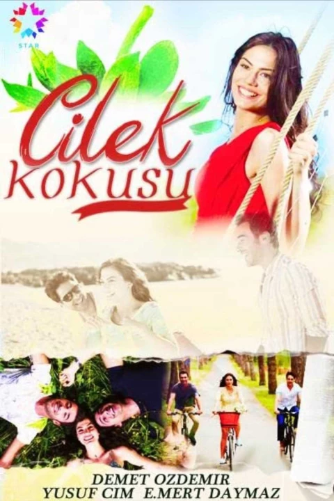 Cilek Kokusu 2014