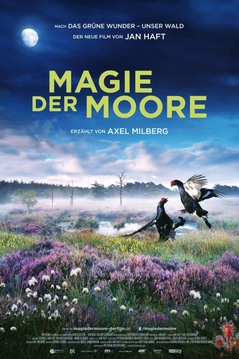 Magie der Moore 2015