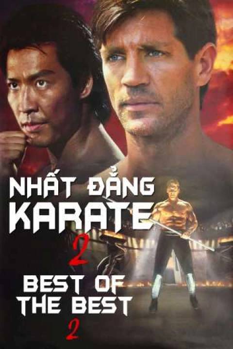 Nhất Đẳng Karate 2 1992